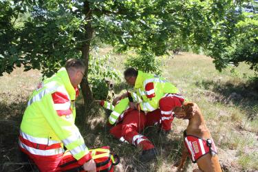 Rettungshunde beim ASB Schleswig-Holstein